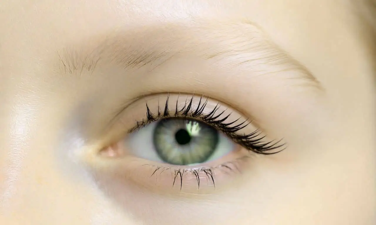 Experts over de ‘Tired Girl’ en ‘Naked Eyebrow’ trend: een kortstondige rage of een blijvende revolutie?